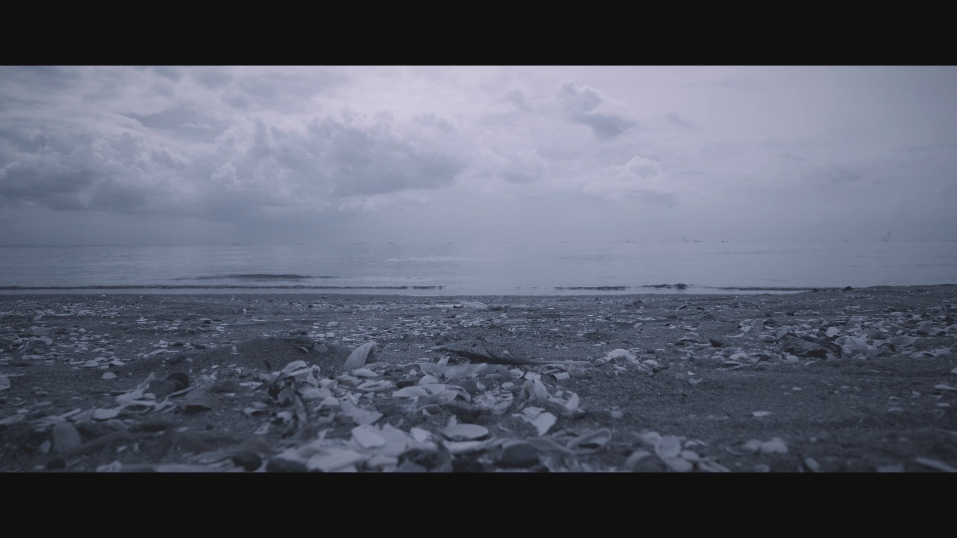 ヰ世界情緒 1st ONE-MAN LIVE『Anima』